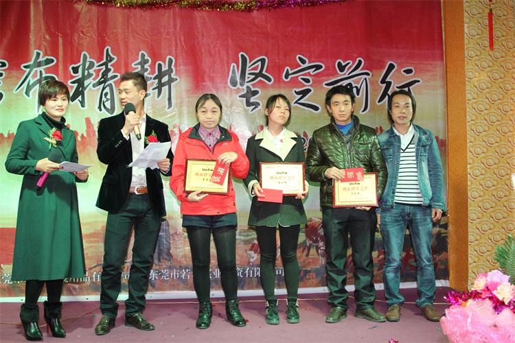 踏实之星1.JPG